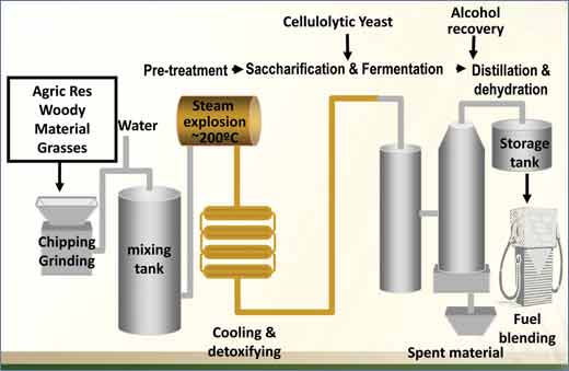 Ethanol Manufacturing Processes