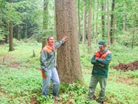 Forst- in der Holzwirtschaft! und Willkommen der Welt
